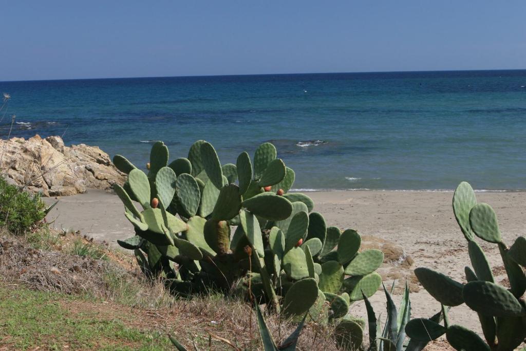 Il Borgo Di Porto Corallo Aparthotel Villaputzu